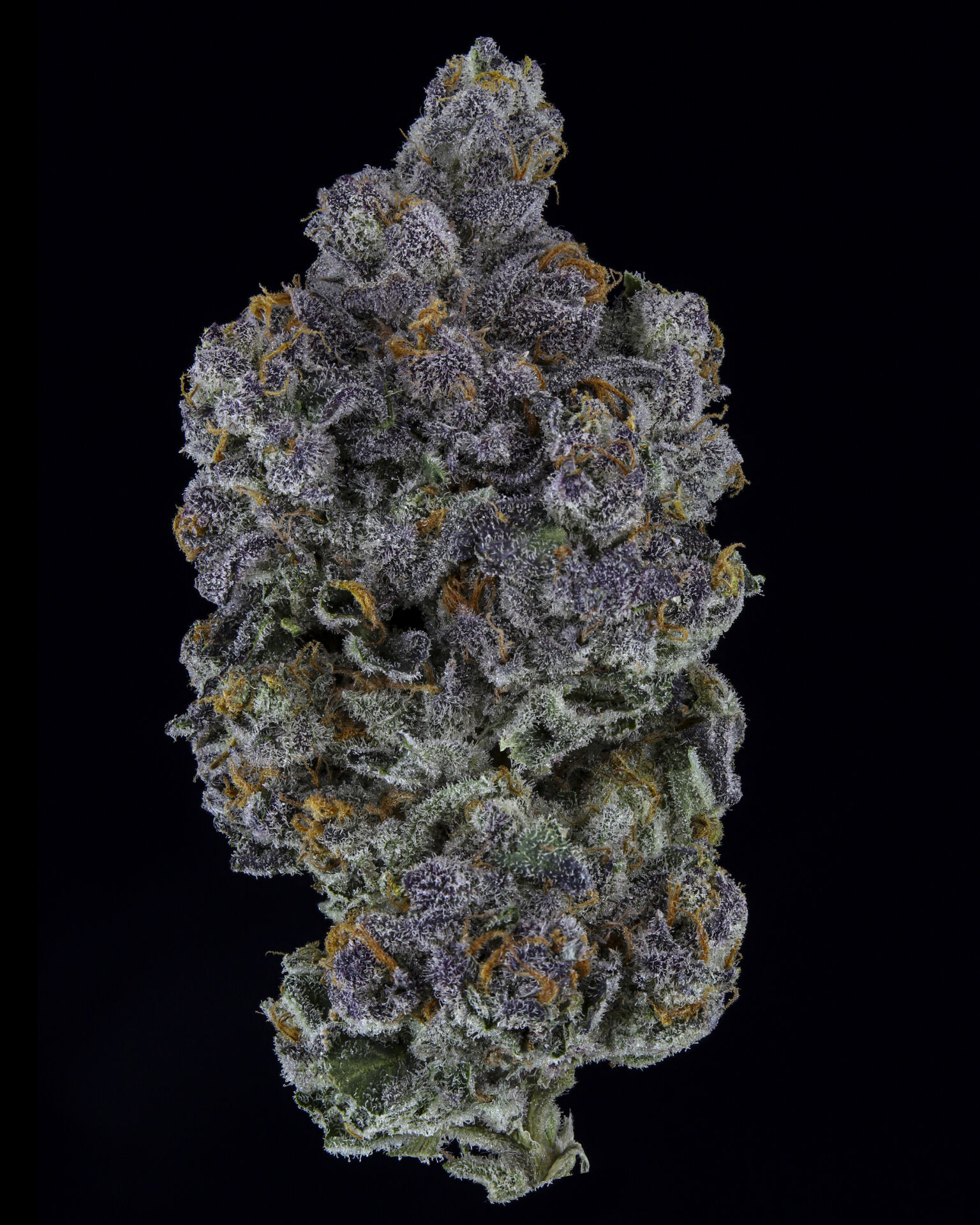 PVB_Lazer Fuel_8x10
